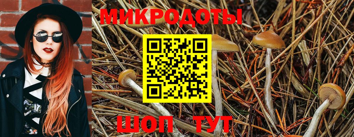Псилоцибиновые грибы прущие грибы  Вход с VPN  Дедовск 
